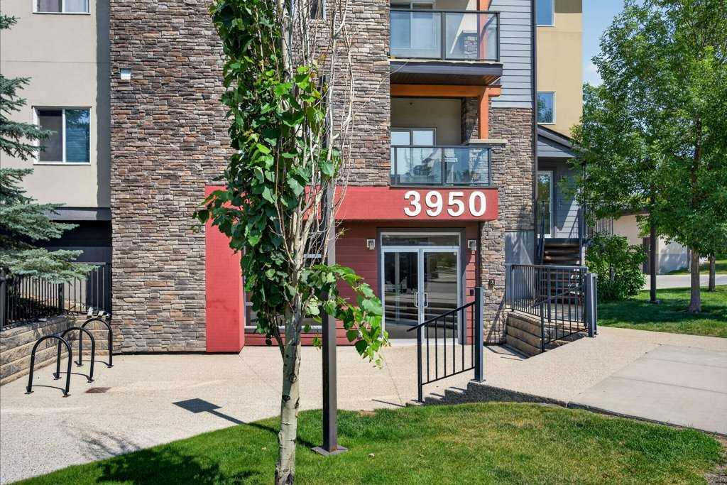 210, 3950 46 Avenue NW, A2333233, Alberta,