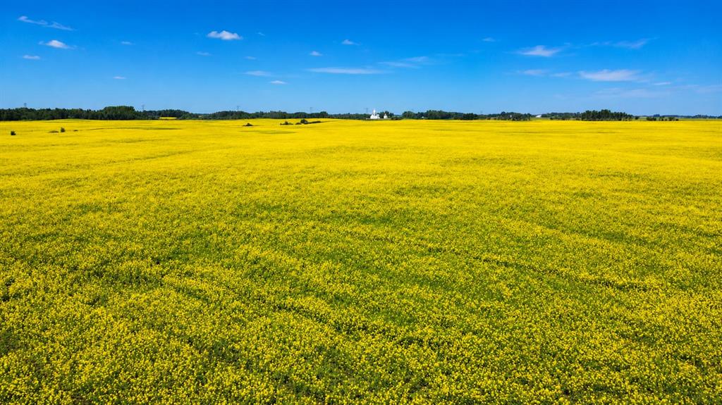  Mundare 160 Acres  , A2334266, Alberta,