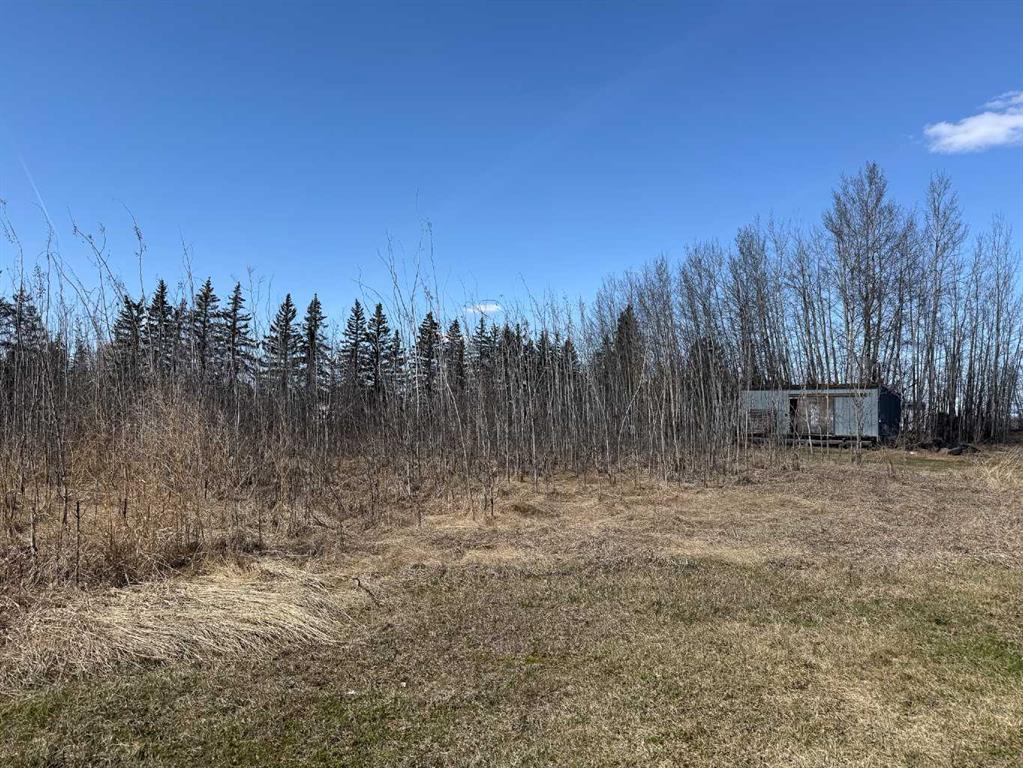 Third View of Plan 1003KS Lot 4 765 Township , NONE, Peoria, Alberta, T0H 3P0