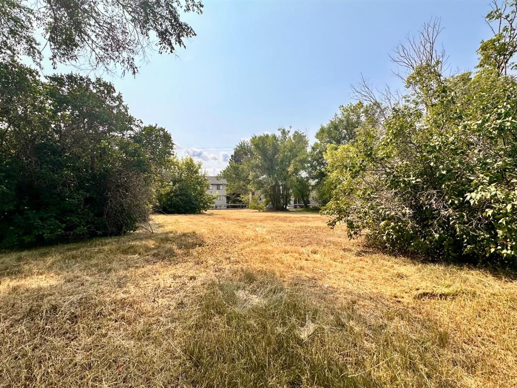 Third View of 519 2 Avenue E, Central, Brooks, Alberta, T1R 0H6