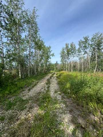 Fifth View of 744073 RR93  , NONE, Valhalla Centre, Alberta, T0H3M0
