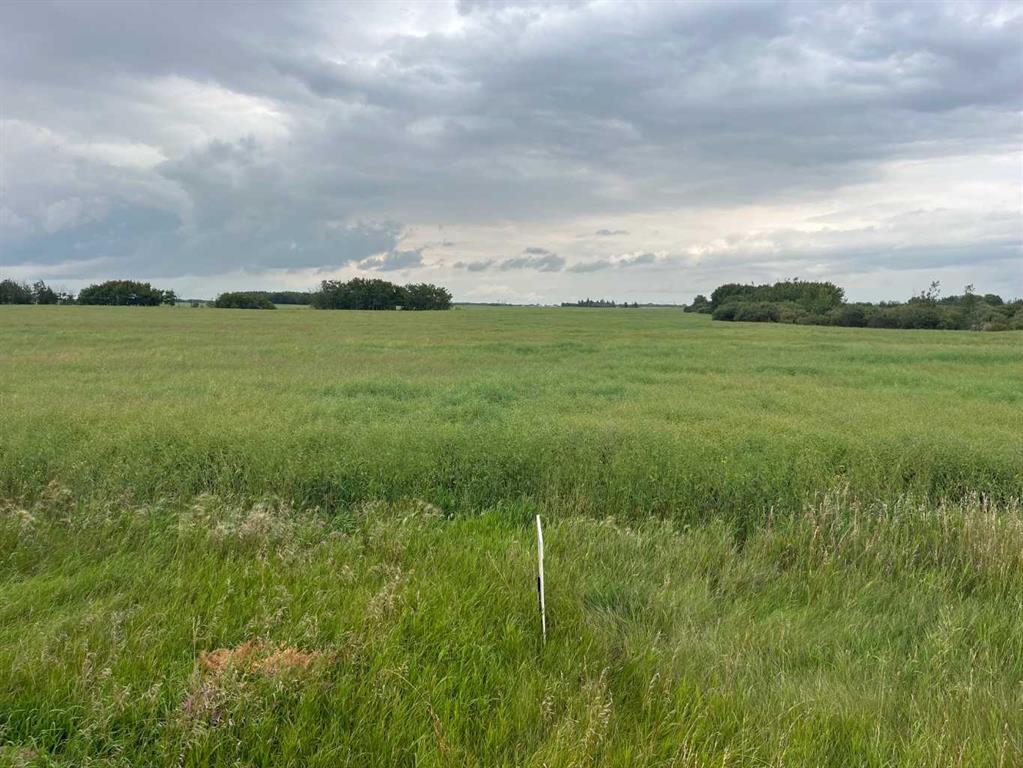 Third View of 316 Niblock Street , Bawlf, Bawlf, Alberta, T0B 0J0