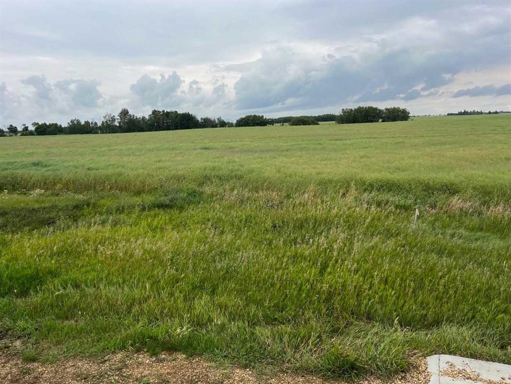 Third View of 318 Niblock Street , Bawlf, Bawlf, Alberta, T0B 0J0