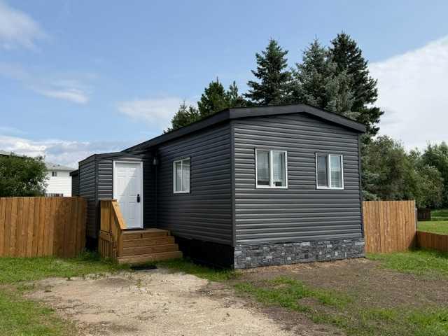1136 12 Avenue SE, A2334938, Alberta,