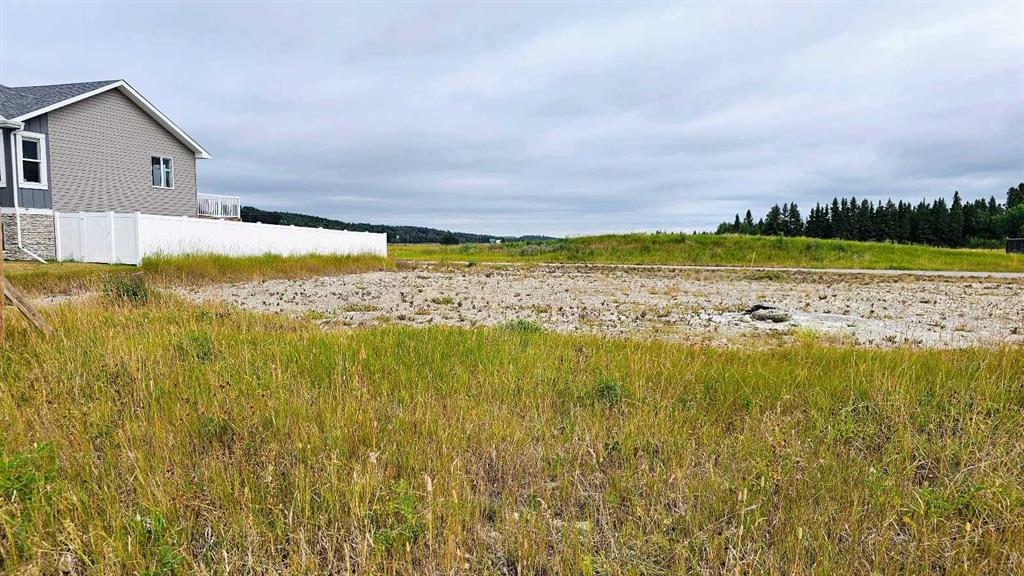 Fifth View of 220 12 Avenue NE, NONE, Sundre, Alberta, T0M 1X0