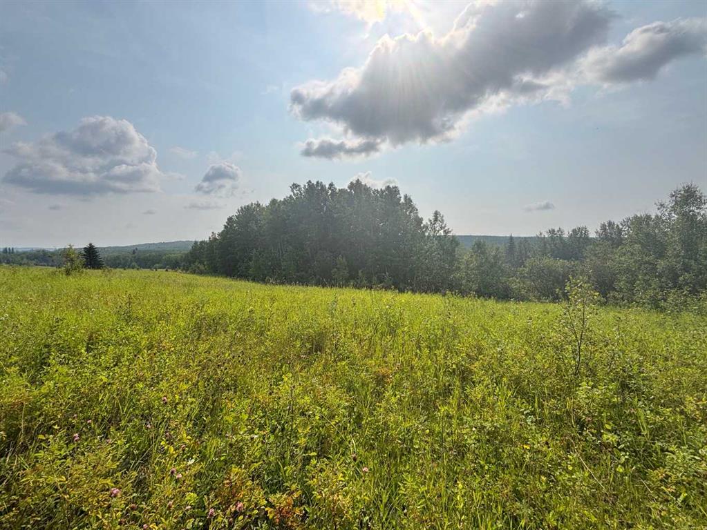 Third View of  Range Road 224A  , NONE, Rural Athabasca County, Alberta, T0G 0R0