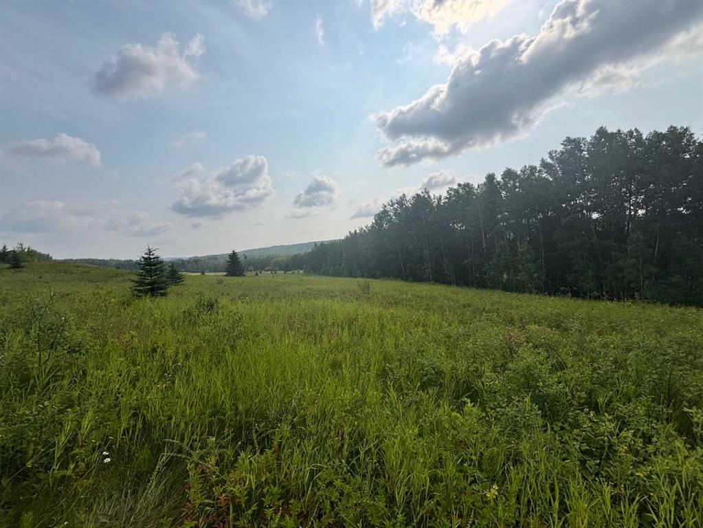 Fifth View of  Range Road 224A  , NONE, Rural Athabasca County, Alberta, T0G 0R0