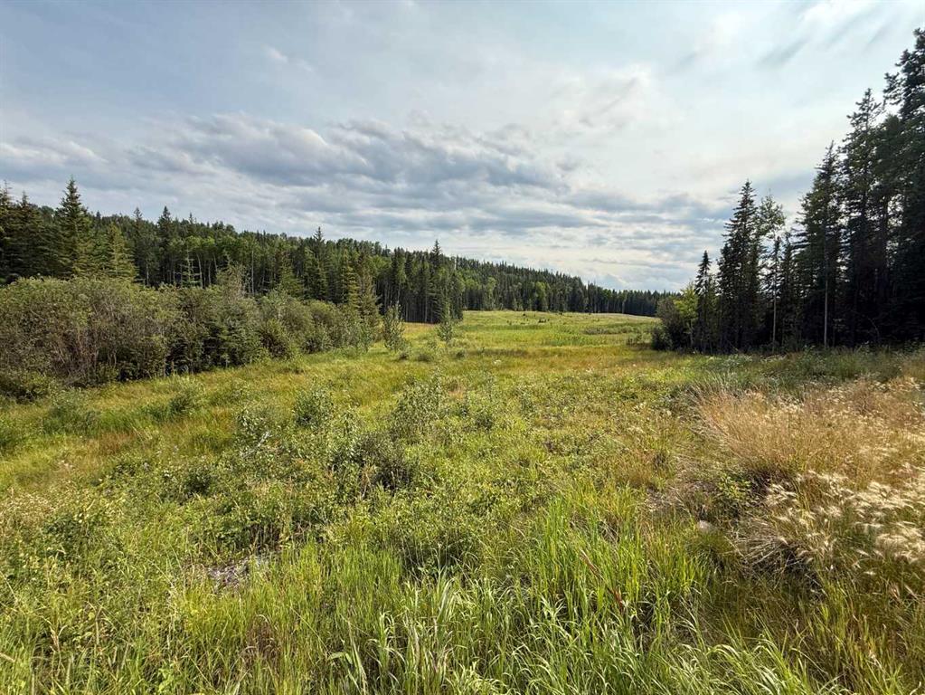 Third View of 1, 23518 Hwy 16 (carldale)  , NONE, Rural Yellowhead County, Alberta, T7V1A0