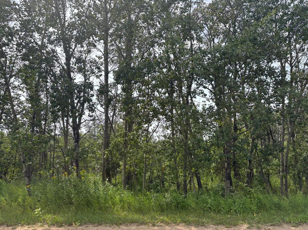 328, 22113 TWP RD 440  , A2335905, Alberta,