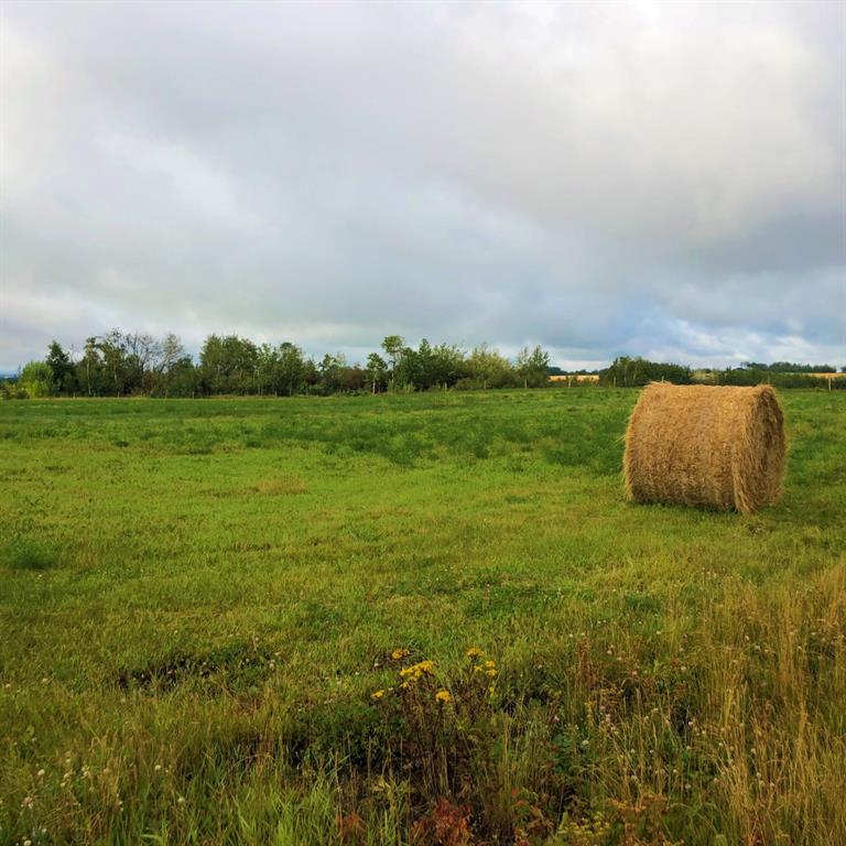 Fourth View of 42 713019 Range Road 71  , NONE, Rural Grande Prairie No. 1, County of, Alberta, T8W 5E9