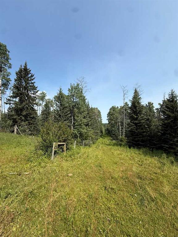 Fourth View of  Sw15-twp 31-Rge5 w5  , NONE, Rural Mountain View County, Alberta, T0M 0M0