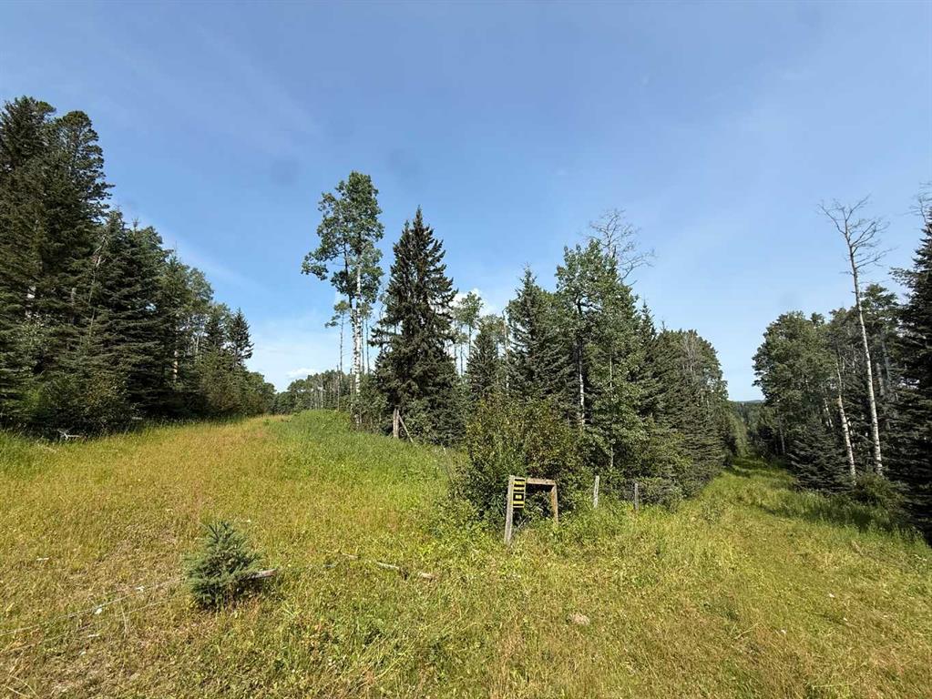 Fifth View of  Sw15-twp 31-Rge5 w5  , NONE, Rural Mountain View County, Alberta, T0M 0M0