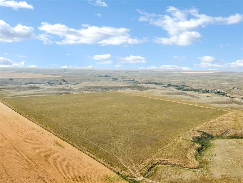 Fifth View of  Rural Cypress County  , NONE, Rural Cypress County, Alberta, T0J 1V0