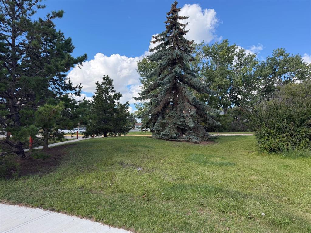10415 96A Street , A2337415, Alberta,