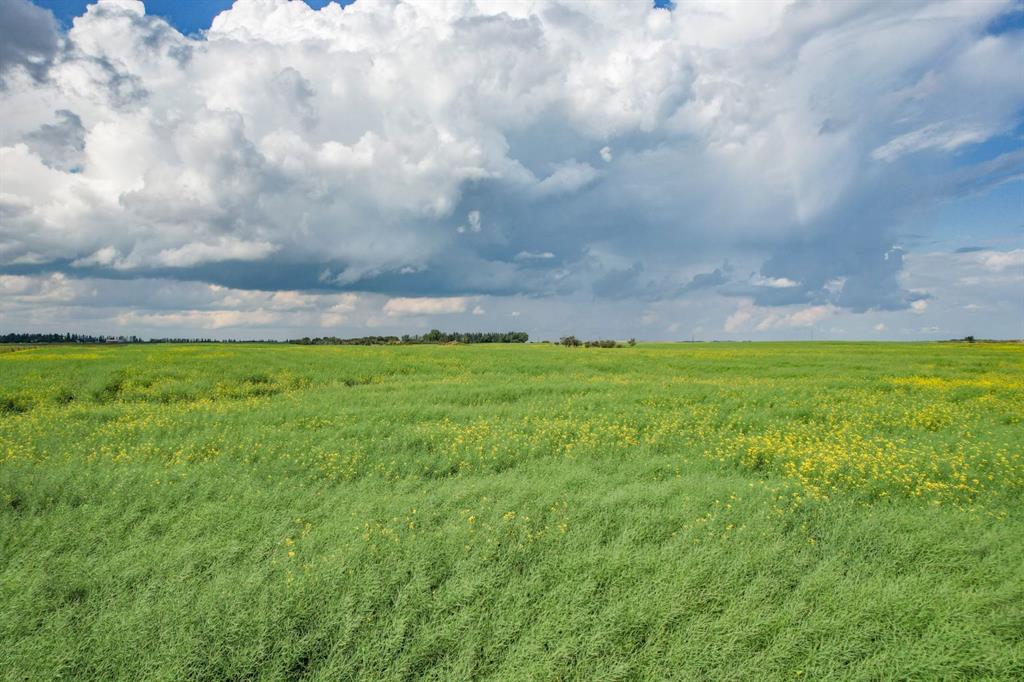 Fifth View of 43038 Range Road 181  , NONE, Rural Camrose County, Alberta, T0B 1H0