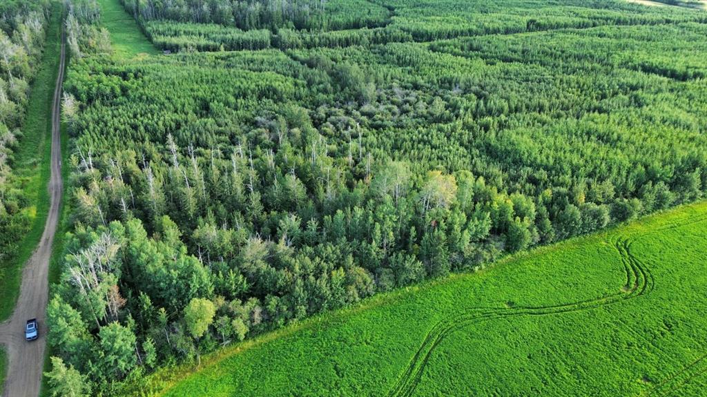 Fourth View of RR NE-19-70-25-5  , NONE, Ridgevalley, Alberta, T0H0Y0