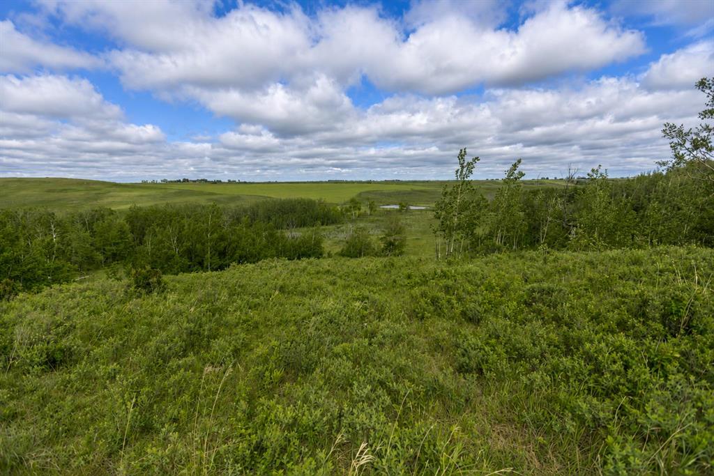 Fifth View of 16, 30480 Range Road 12  , NONE, Rural Mountain View County, Alberta, T0M0N0