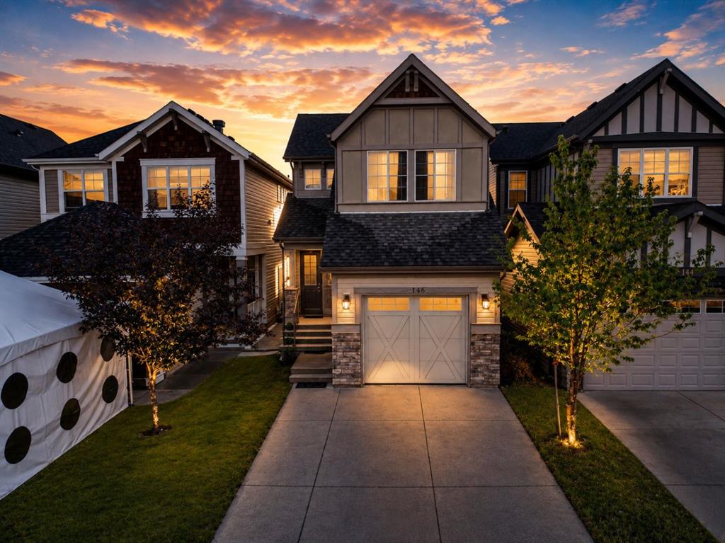 146 Skyview Point Crescent NE, A2338069, Alberta,