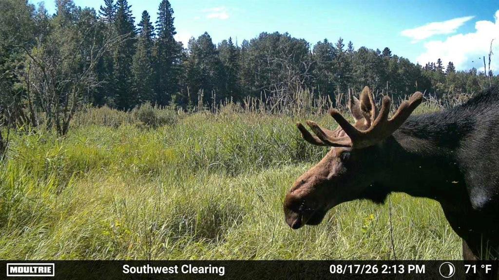 Third View of 375012 Range Road 6-0  , NONE, Rural Clearwater County, Alberta, T0M 2A4
