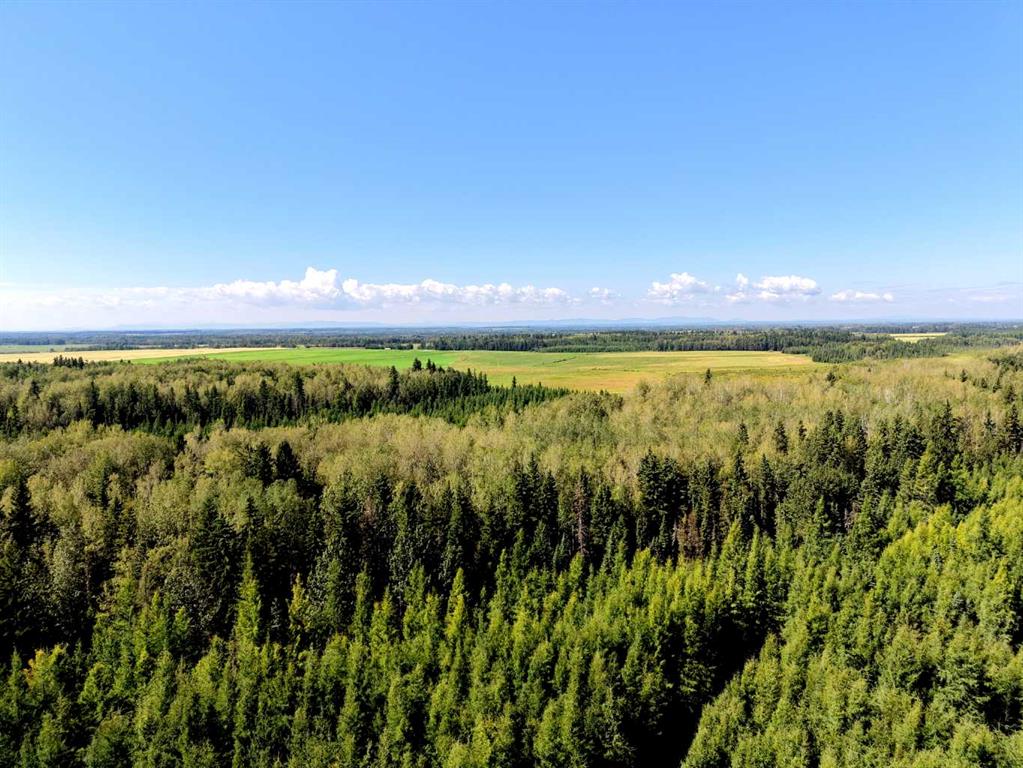 Fourth View of 375012 Range Road 6-0  , NONE, Rural Clearwater County, Alberta, T0M 2A4