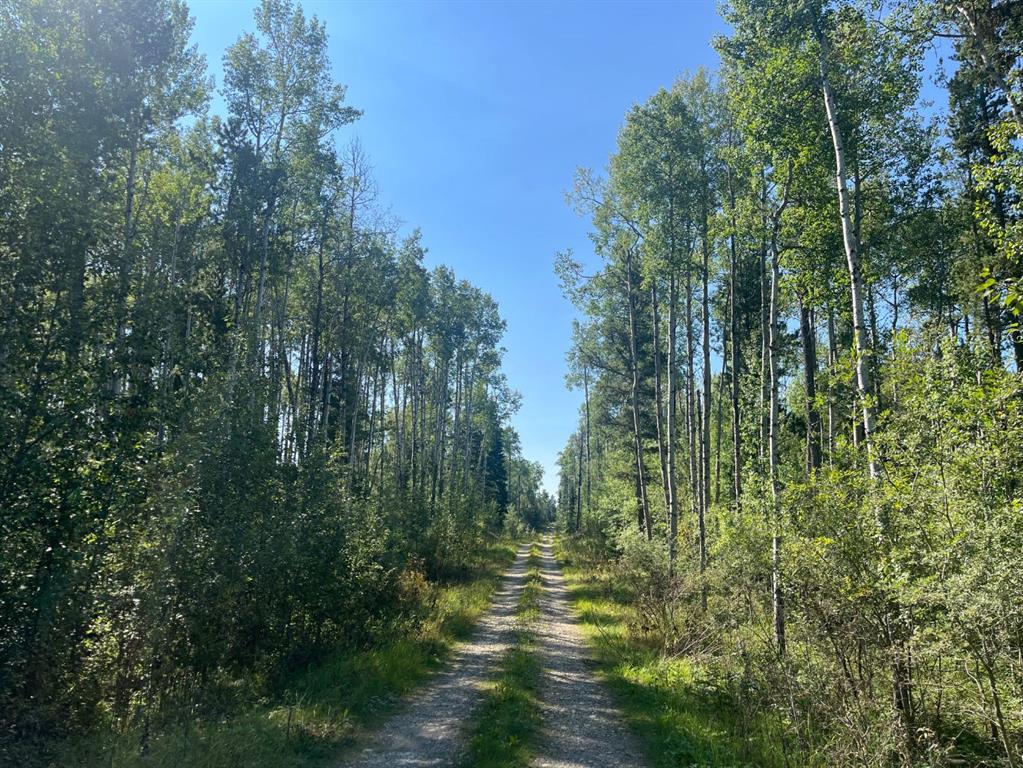 75033 Township Road 37-4  , A2338747, Alberta,