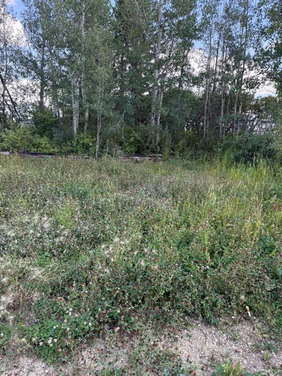 Second View of 1019 Township Road 391  , NONE, Rural Red Deer County, Alberta, T4P 0E8