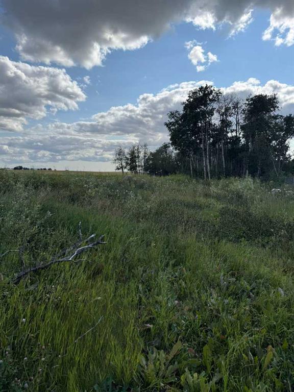 Fifth View of 1019 Township Road 391  , NONE, Rural Red Deer County, Alberta, T4P 0E8