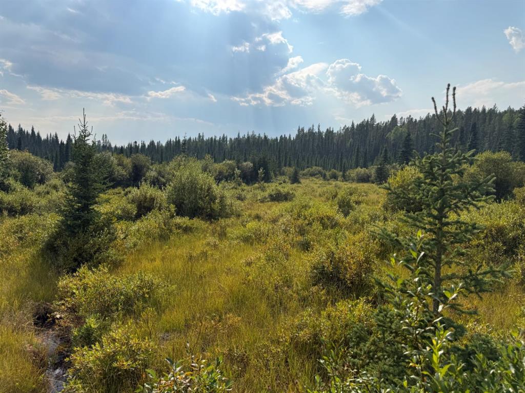63067 Township Road 311  , A2340122, Alberta,