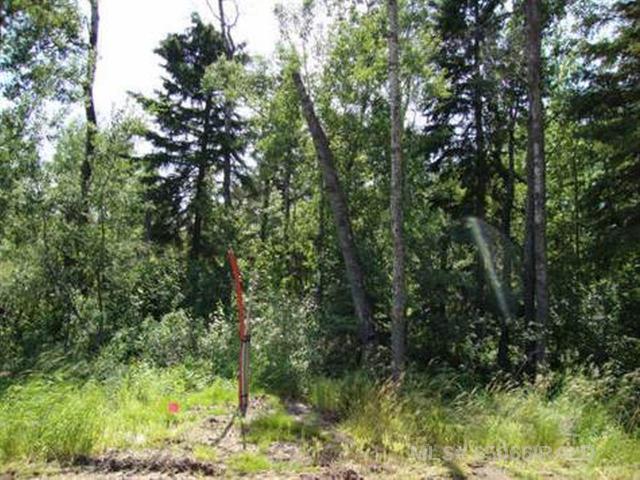 Second View of Lot 1 Blk 5 LAKESIDE Drive , NONE, Perch Lake, Saskatchewan, S0M 2G0
