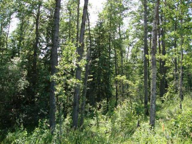 Third View of Lot 3 Blk 5 LAKESIDE Drive , NONE, Perch Lake, Saskatchewan, S0M 2G0