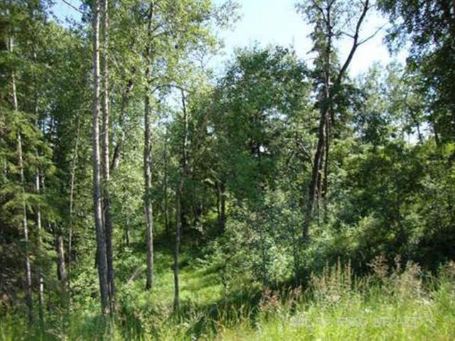 Second View of Lot 4 Blk 5 LAKESIDE Drive , NONE, Perch Lake, Saskatchewan, S0M 2G0