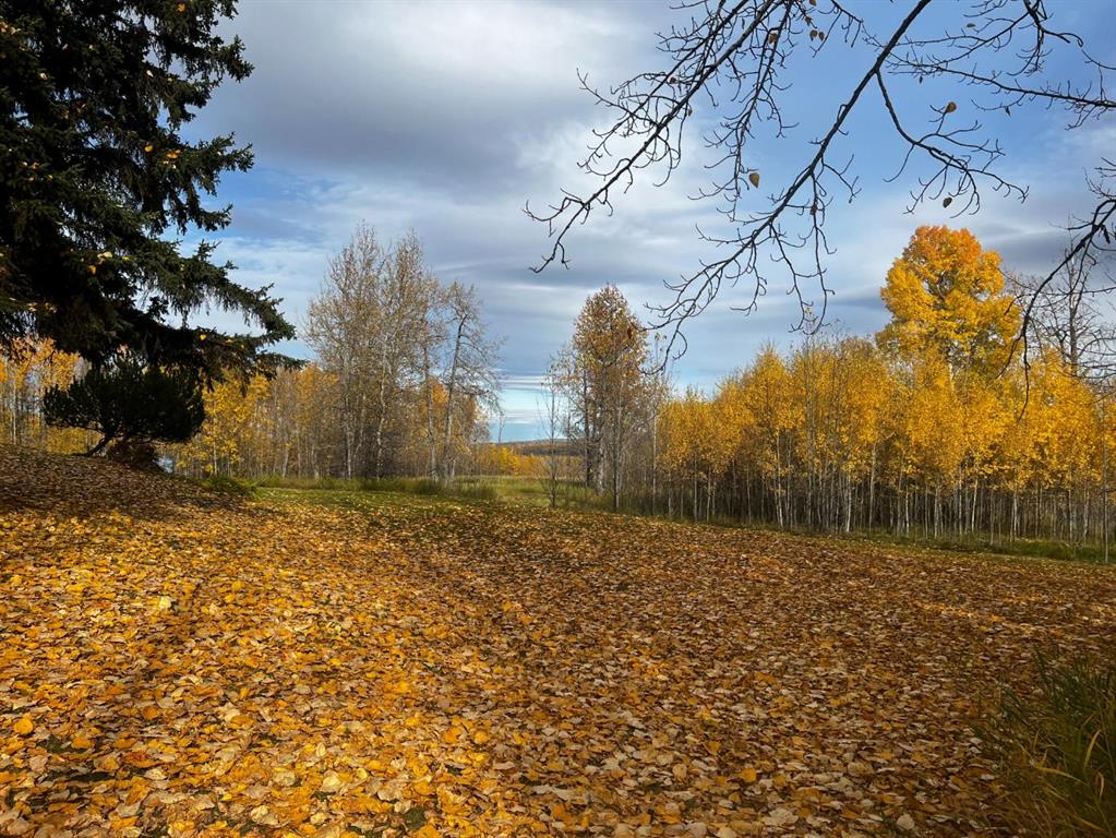 Lot 2, 120053 Township Road 584  , A2341019, Alberta,