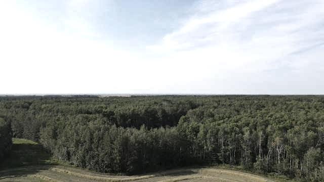 SE 21 82 20 W5 RR 203  , A2342525, Alberta,