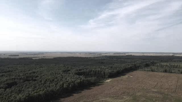 Fourth View of SE 21 82 20 W5 RR 203  , Northern Sunrise County, Rural Northern Sunrise County, Alberta, T8S1S4