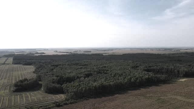 Fifth View of SE 21 82 20 W5 RR 203  , Northern Sunrise County, Rural Northern Sunrise County, Alberta, T8S1S4