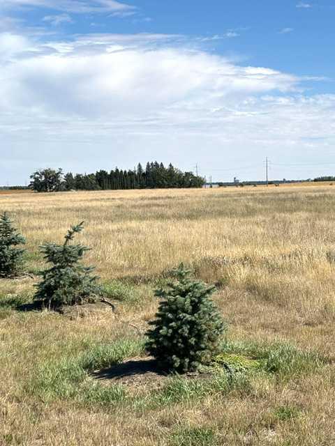 Fourth View of Near Coalhurst RR223  , NONE, Coalhurst, Alberta, T0L0V2