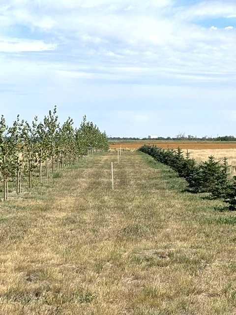 Fifth View of Near Coalhurst RR223  , NONE, Coalhurst, Alberta, T0L0V2