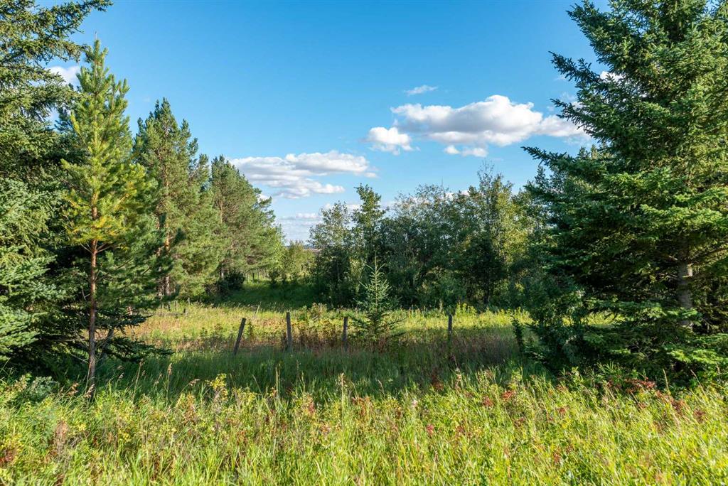 Third View of PT SW 2-49-3 W4th LOT 1  , NONE, Rural Vermilion River, County of, Alberta, T0B2P0