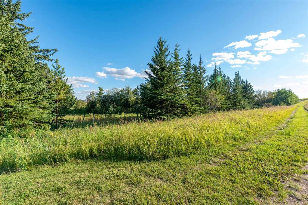 Fourth View of PT SW 2-49-3 W4th LOT 1  , NONE, Rural Vermilion River, County of, Alberta, T0B2P0