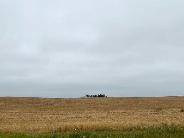 Fourth View of  NW 32-40-14 W4  , NONE, Rural Flagstaff County, Alberta, T0B 1N0