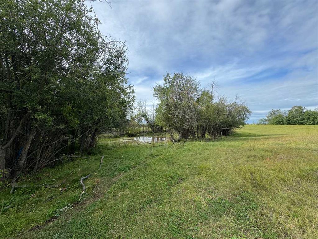 Fourth View of SW-4-77-6-W6 ...  , NONE, Rural Spirit River No. 133, M.D. of, Alberta, T0H3G0