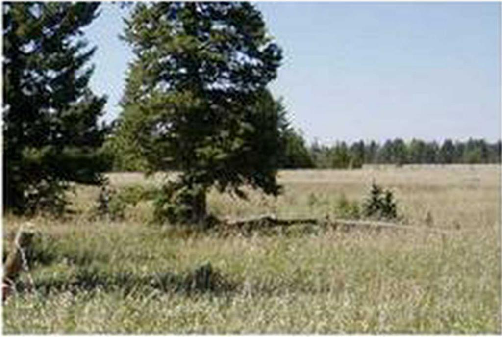 Third View of  Range Road 55  , NONE, Rural Mountain View County, Alberta, T0G 1X0