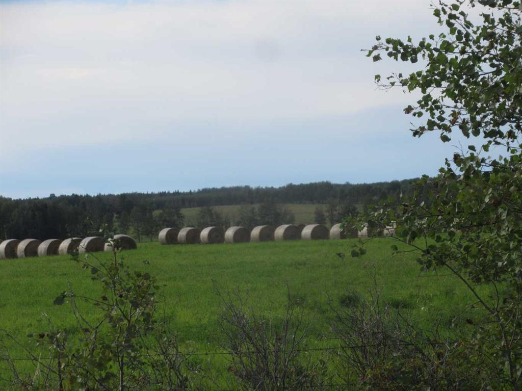 Second View of 414012 Range Road 6-2  , NONE, Rural Clearwater County, Alberta, T4T 2A1