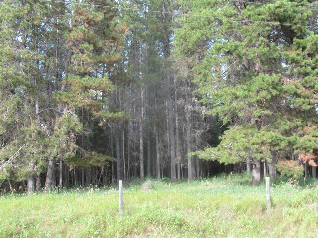 Fifth View of 414012 Range Road 6-2  , NONE, Rural Clearwater County, Alberta, T4T 2A1