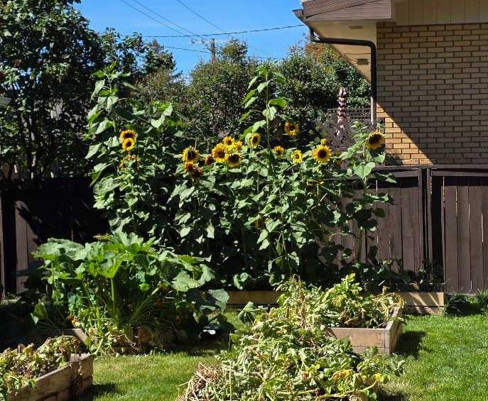 Fifth View of 4215 Villa Crescent NW, Varsity, Calgary, Alberta, T2L 2K2