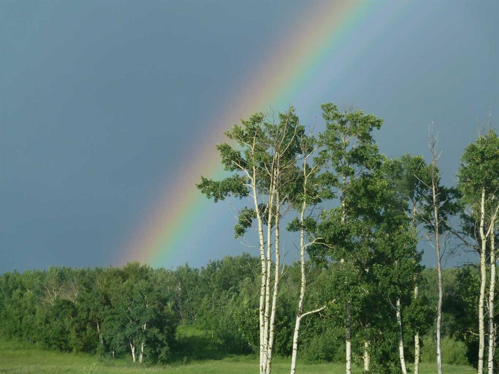 Fourth View of 7, 420069 Range Road 284  , Grandview Estates, Rural Ponoka County, Alberta, T4J 1R3