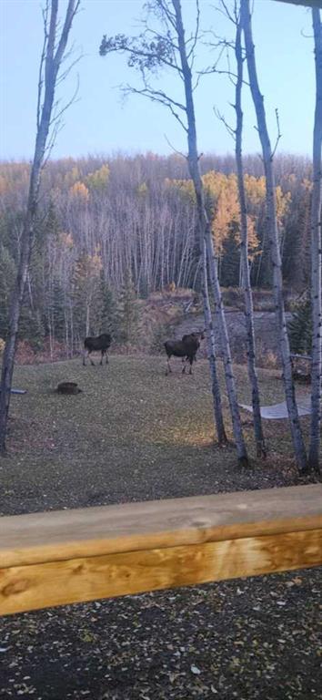 Fourth View of 76272 Range Road 75  , NONE, Rural Saddle Hills County, Alberta, T0H 2J0