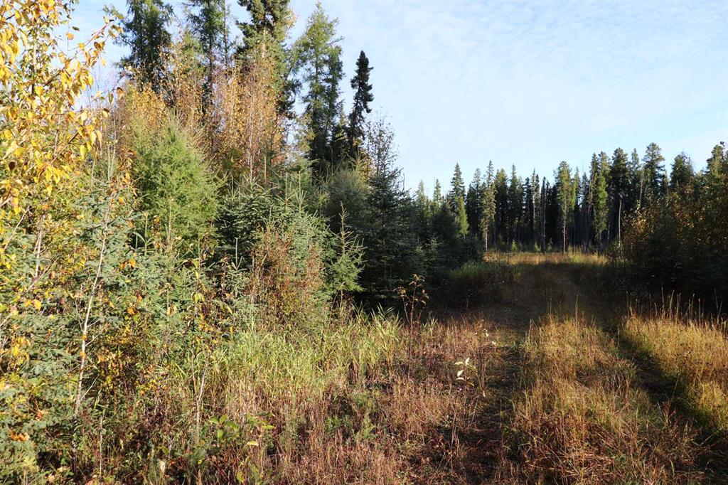 Fifth View of  NW-17-56-14  , NONE, Rural Yellowhead County, Alberta, T7E 3S2