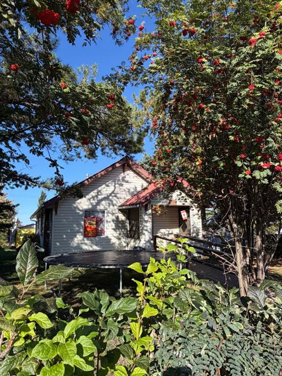 4407 50 Avenue , A2346265, Alberta,