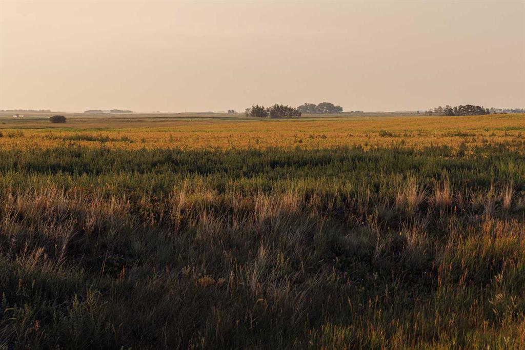 Second View of Parcel 6 Range Road 271 just south of Highway 9.  , NONE, Rural Rocky View County, Alberta, T0M 1G0